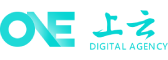 海东软件开发公司